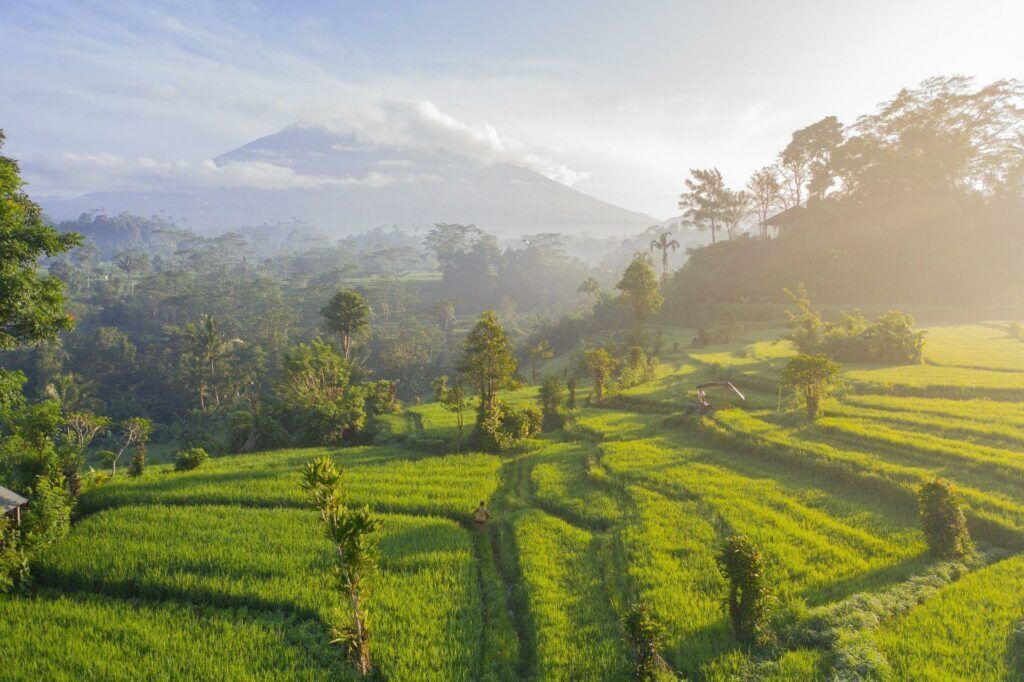 Blick auf die sattgrünen Reisterrassen von Sidemen und dem Mount Agung im Hintergrund